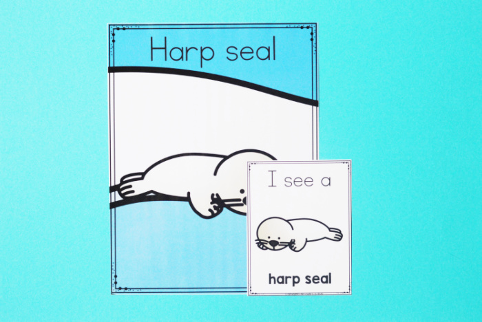 arctic animal posters and 'i see a harp seal' card