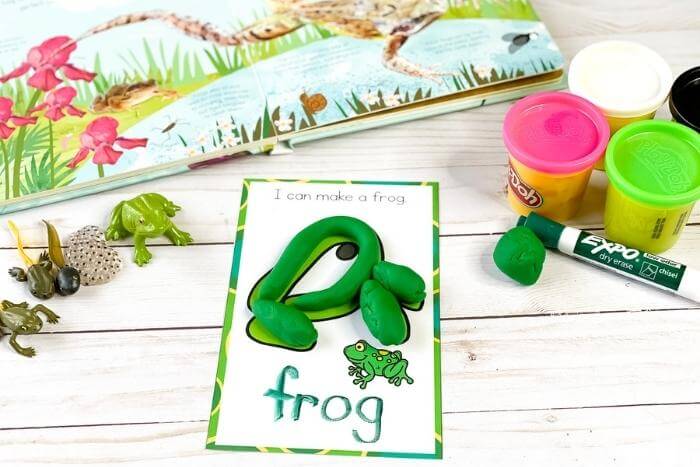 Life cycle of a frog play dough mats for preschool science