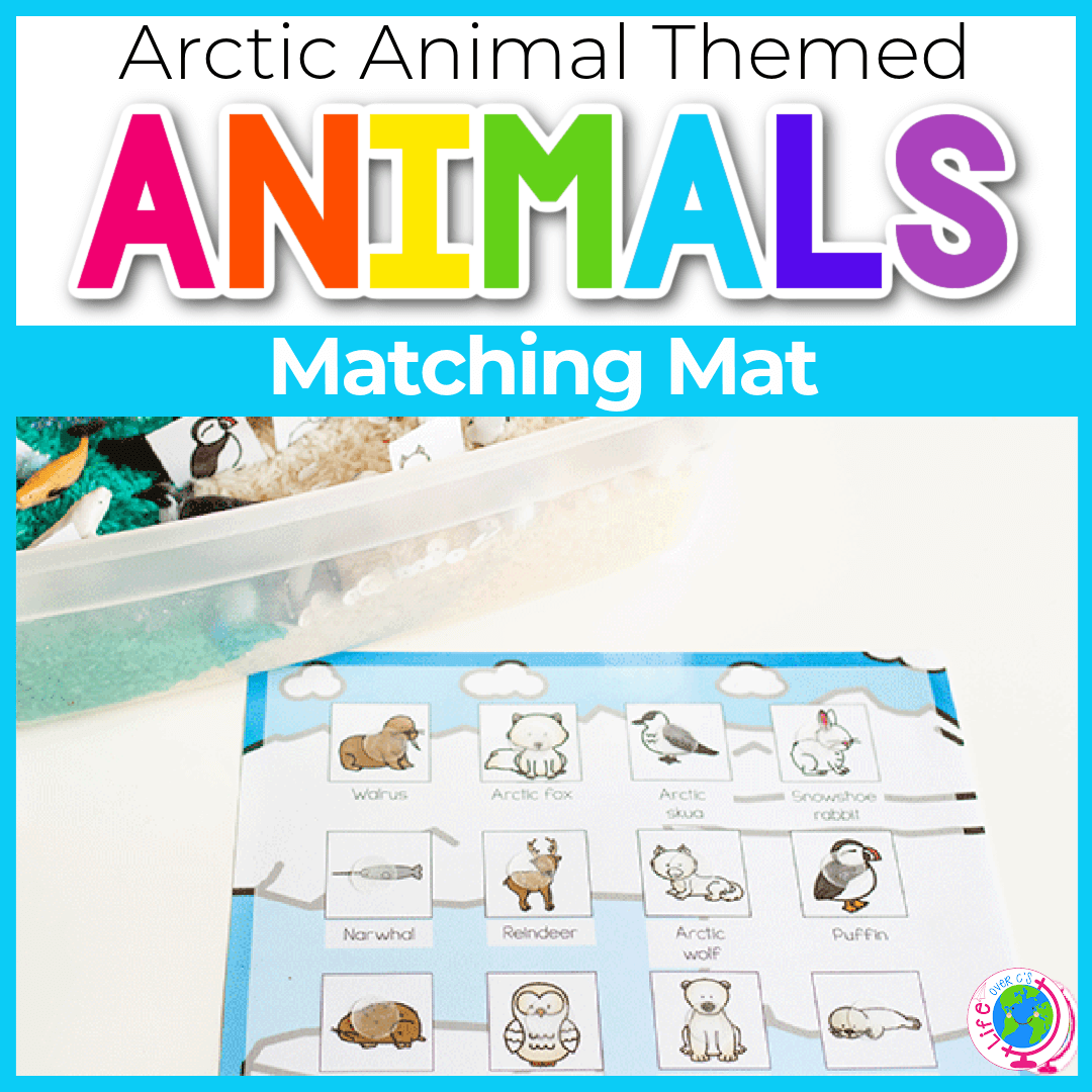 Arctic animals animals matching mat activity
