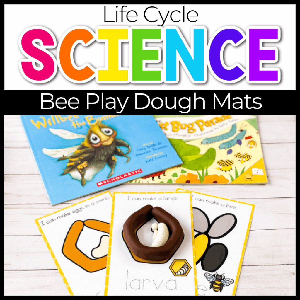 Life cycle Bee play dough mats