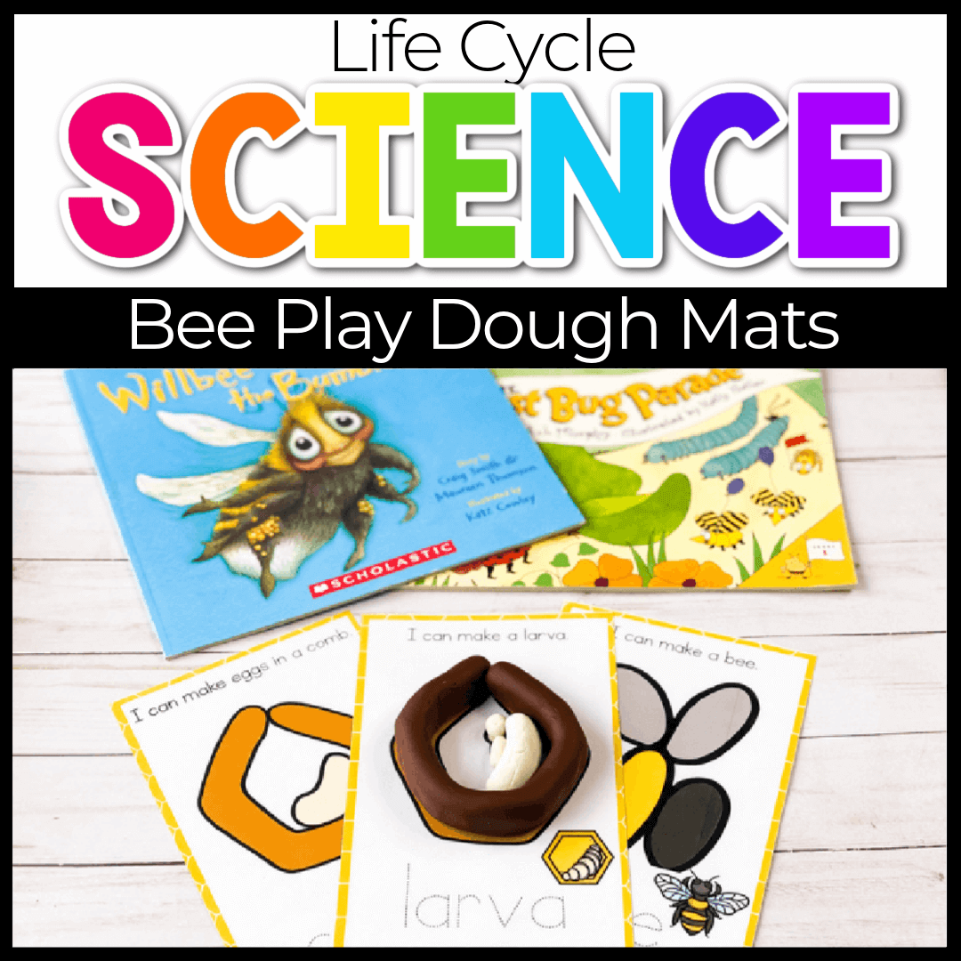 Life Cycle Play Dough Mats: Bee