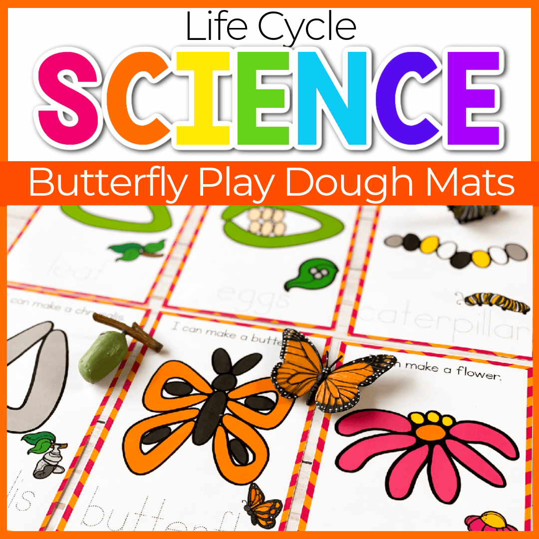 Life Cycle Play Dough Mats: Butterfly