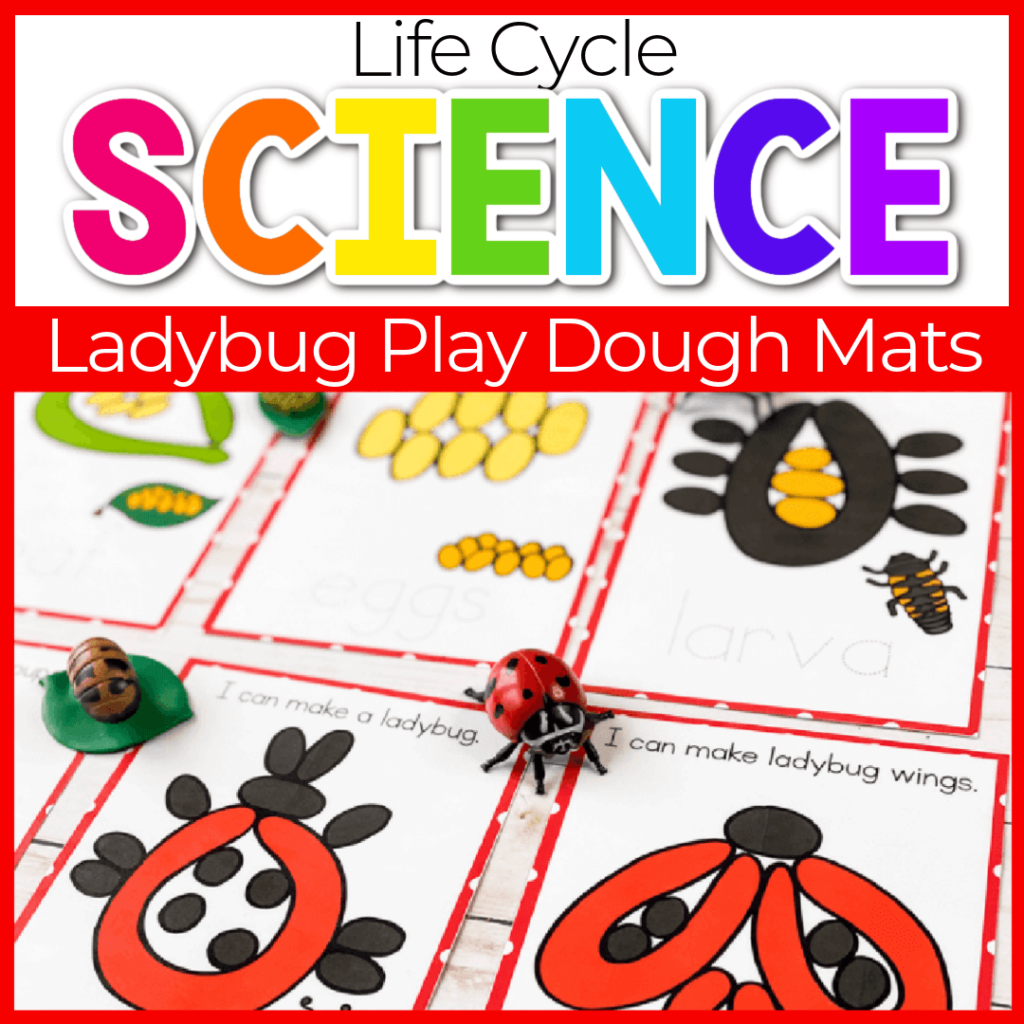 Ladybug life cycle play dough mats