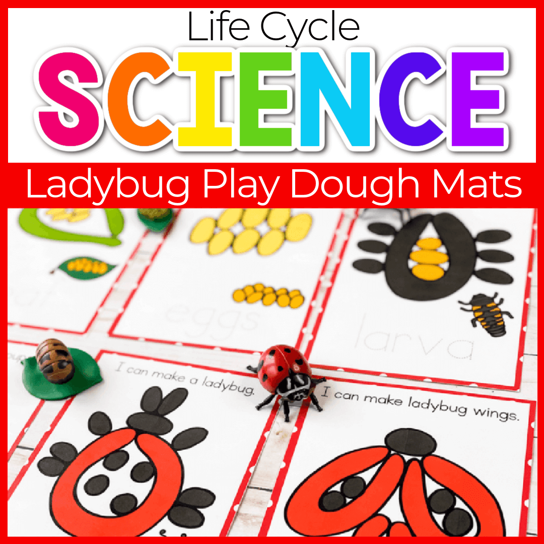 Life Cycle Play Dough Mats: Ladybug
