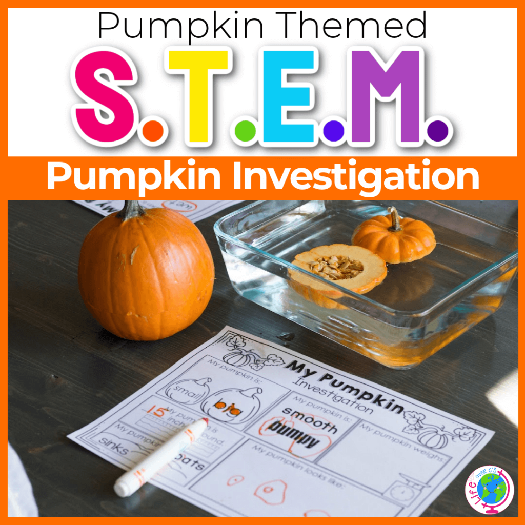 Pumpkin STEM investigation printable recording page on a table with small pumpkins