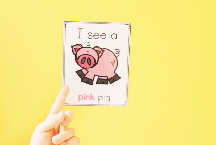 Pink pig I spy color poster written in English.