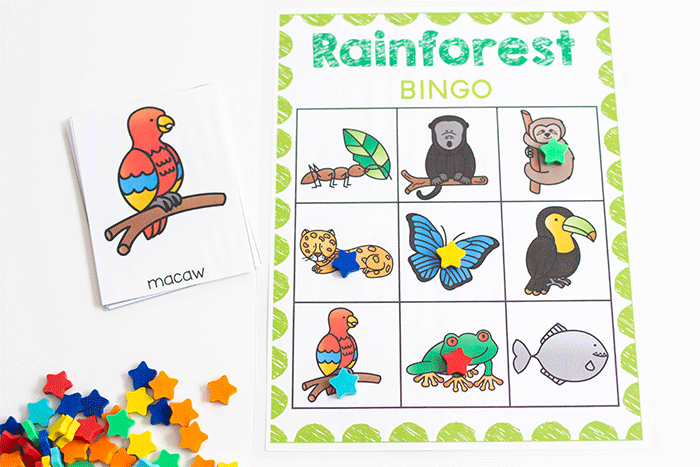 Bingo builds visual discrimination and animals of the rainforest