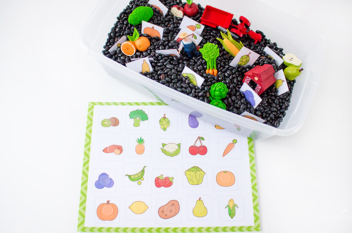 Fruits and vegetables sensory bin matching mat and cards