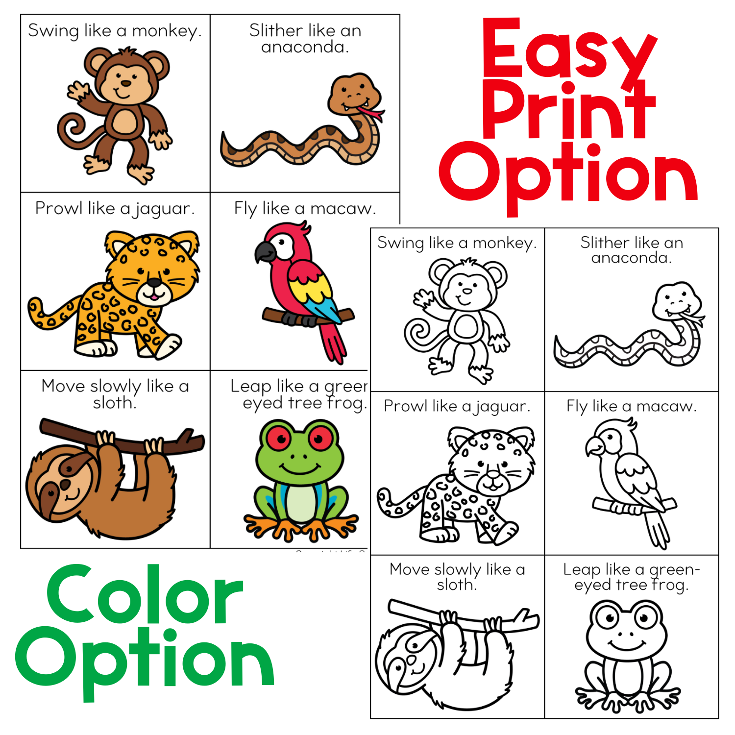 Brain break activities rainforest animal cube