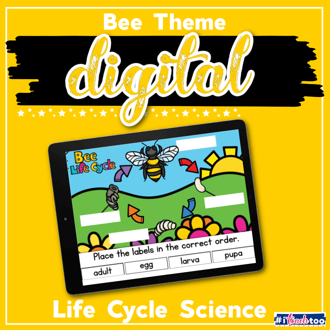 Digital Life Cycle: Bees