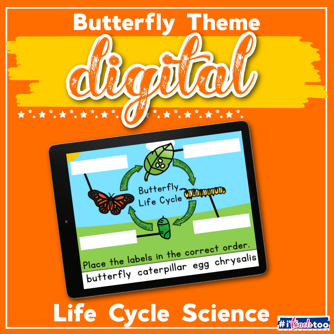Digital: Butterfly Life Cycle