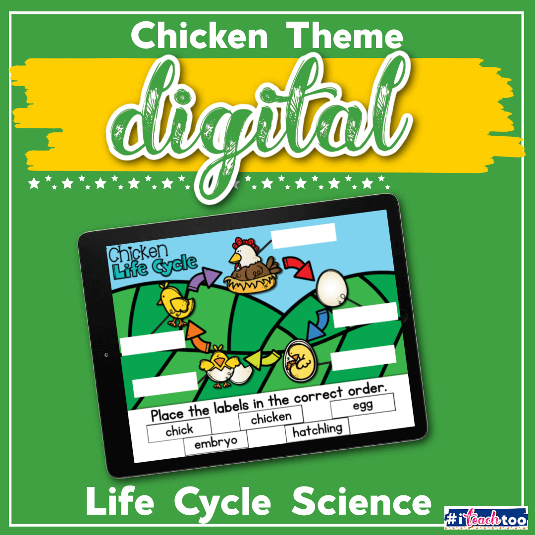 Digital Life Cycle: Chicken