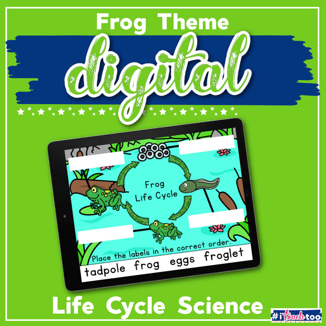Frog life cycle digital STEM activity