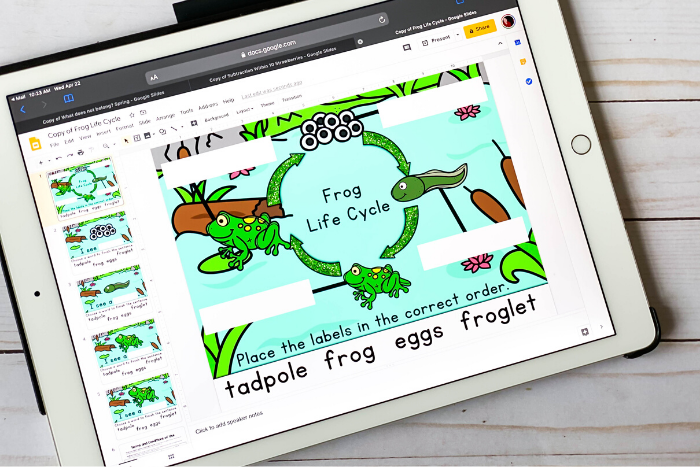 Digital science frog life cycle for Google Classrom