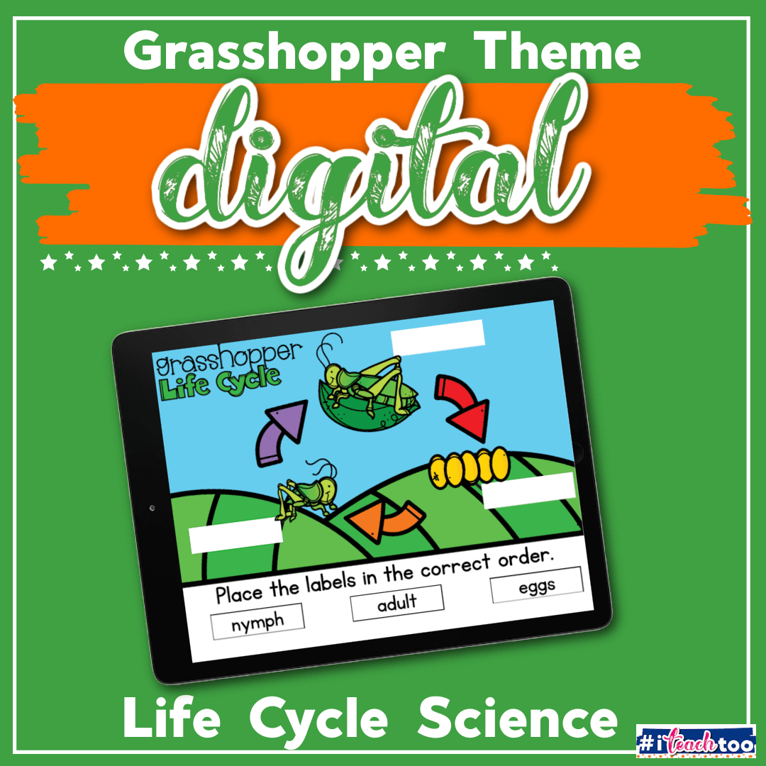 Digital Life Cycle: Grasshopper