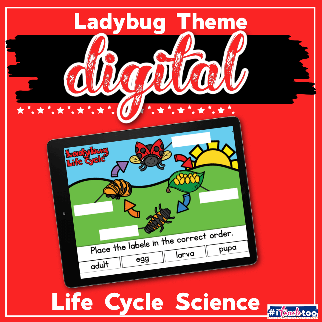Ladybug life cycle digital STEM activity