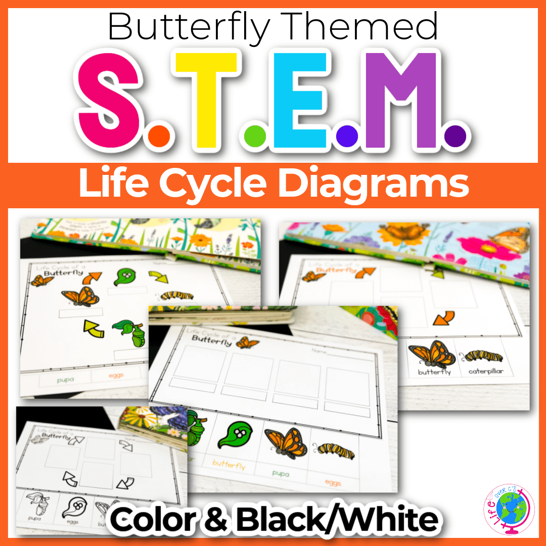 Life Cycle Diagrams: Butterfly