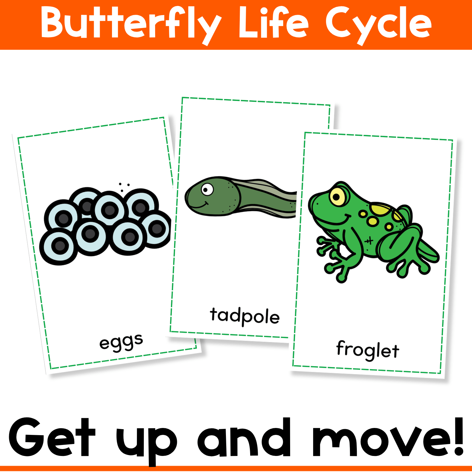 Frog life cycle vocabulary cards showing eggs, tadpole, and froglet with a movement-based Write the Room activity for kindergarten science vocabulary practice.