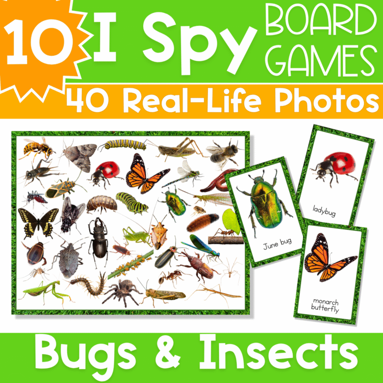 Bugs and insects I Spy board game with real photos, printable bug cards, and hands-on visual discrimination practice for preschool, pre-k, and kindergarten centers.