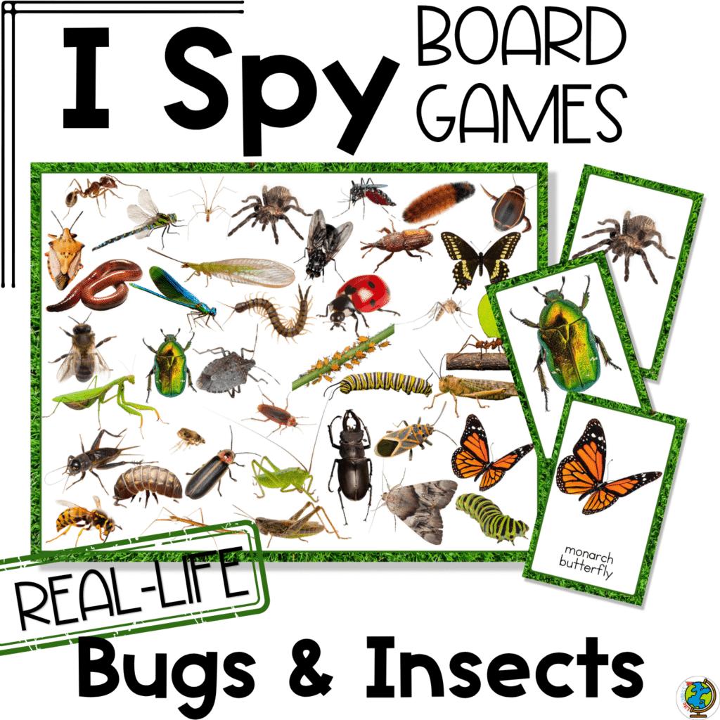 Bugs and insects I Spy board game with real photos, printable bug cards, and hands-on visual discrimination practice for preschool, pre-k, and kindergarten centers.