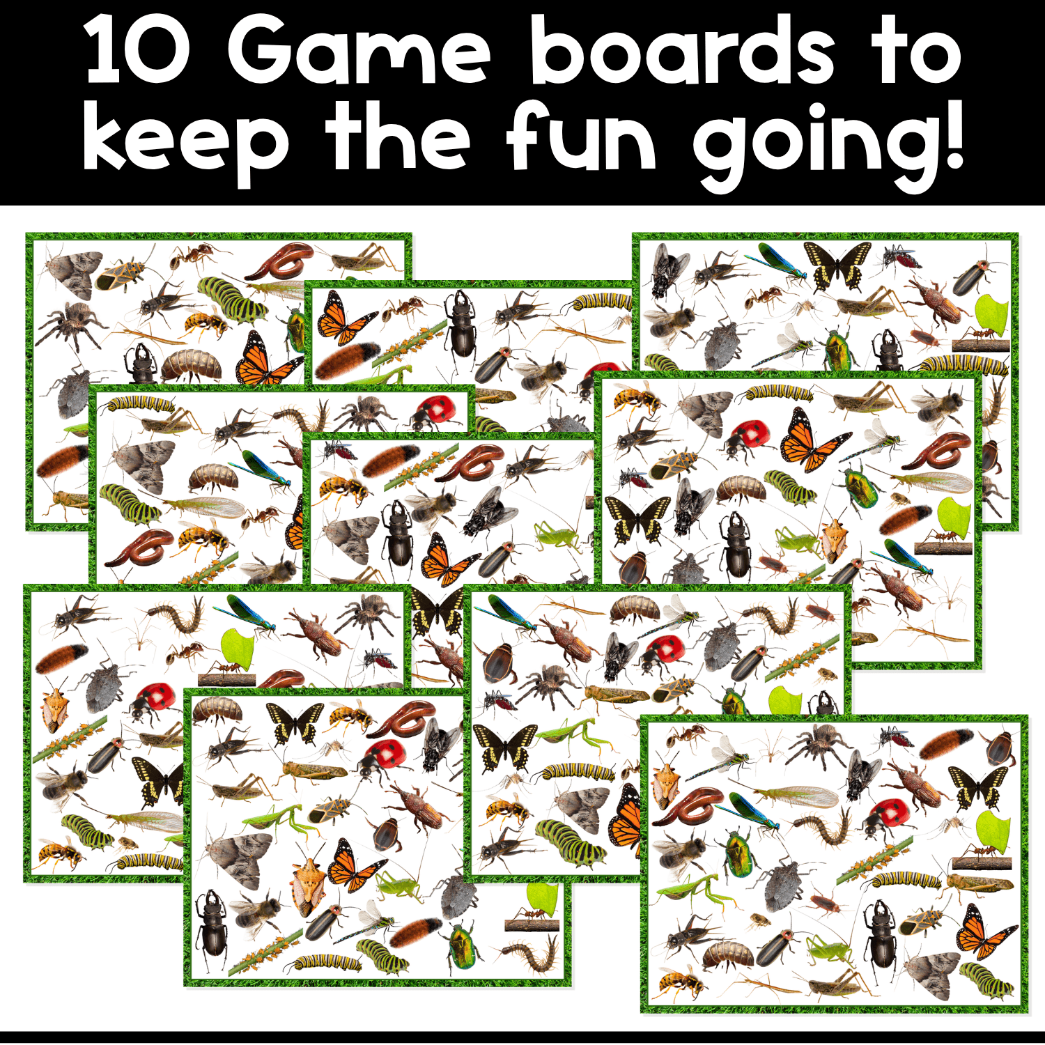 Real photo bugs and insects I Spy game boards packed with beetles, butterflies, spiders, worms, ants, and more for exciting visual scanning practice.