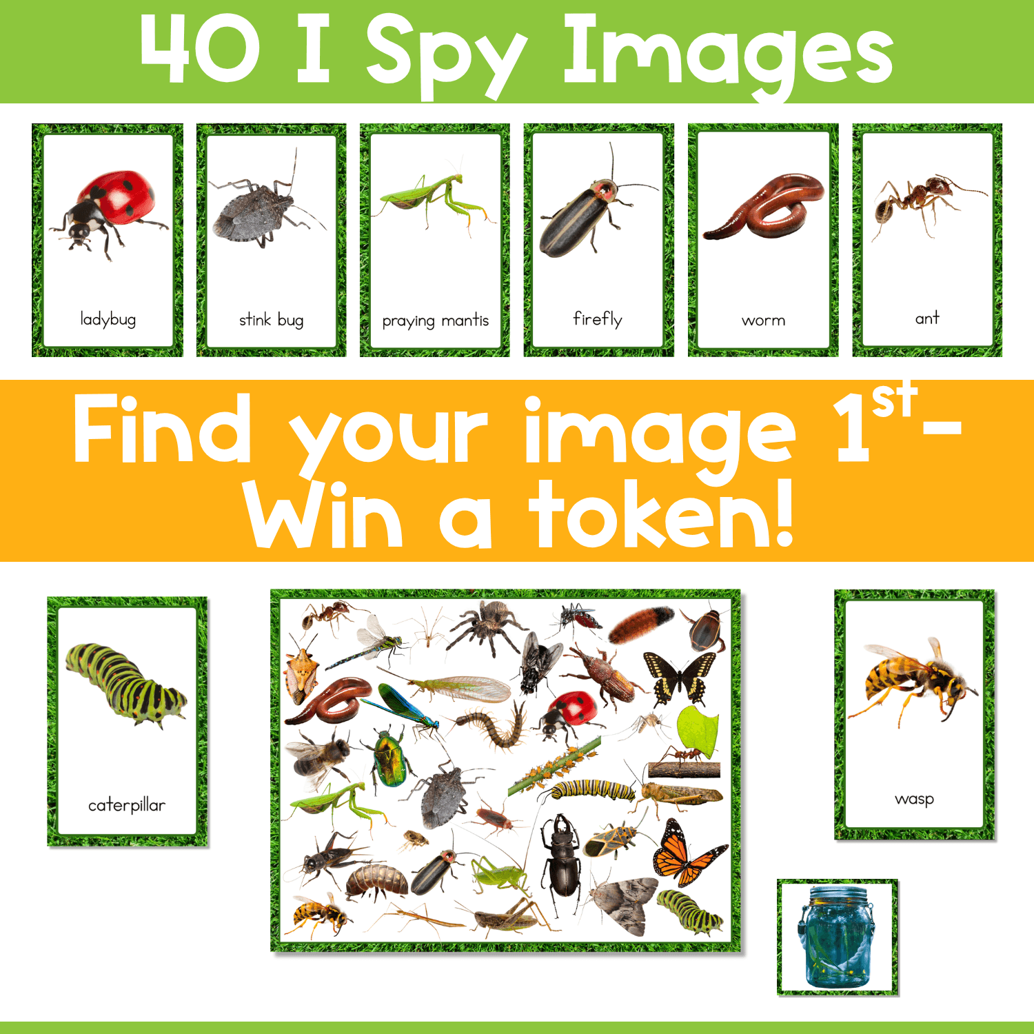 Printable bugs and insects I Spy Flip game with 40 labeled photo cards, token cards, and colorful boards for vocabulary, matching, and visual discrimination.