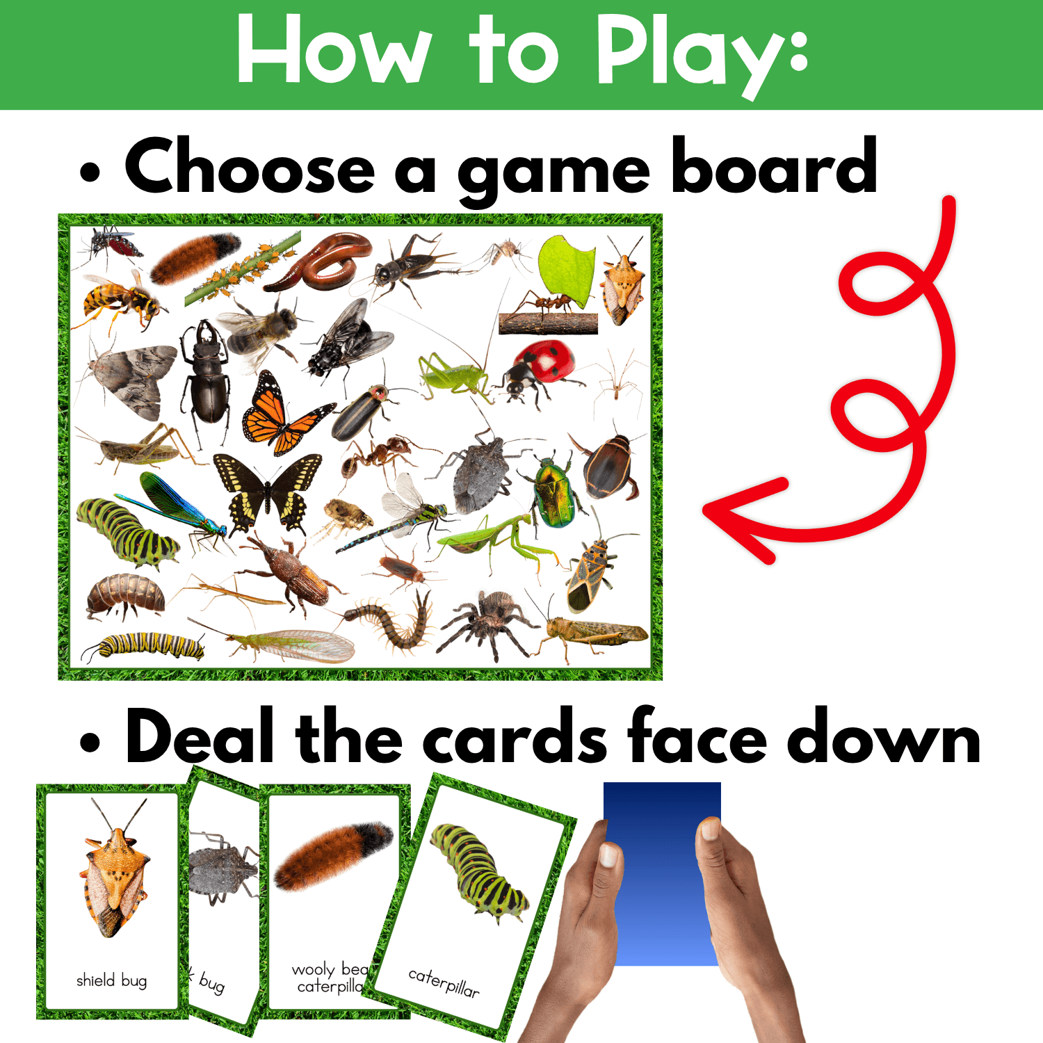 Easy-to-prep bugs and insects I Spy board game setup with real photo cards, printable boards, and simple directions for partner play or small groups.