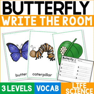 Butterfly Write the Room Vocabulary Center featuring illustrated butterfly life cycle vocabulary cards and differentiated recording worksheets for an active preschool and kindergarten science and literacy center.