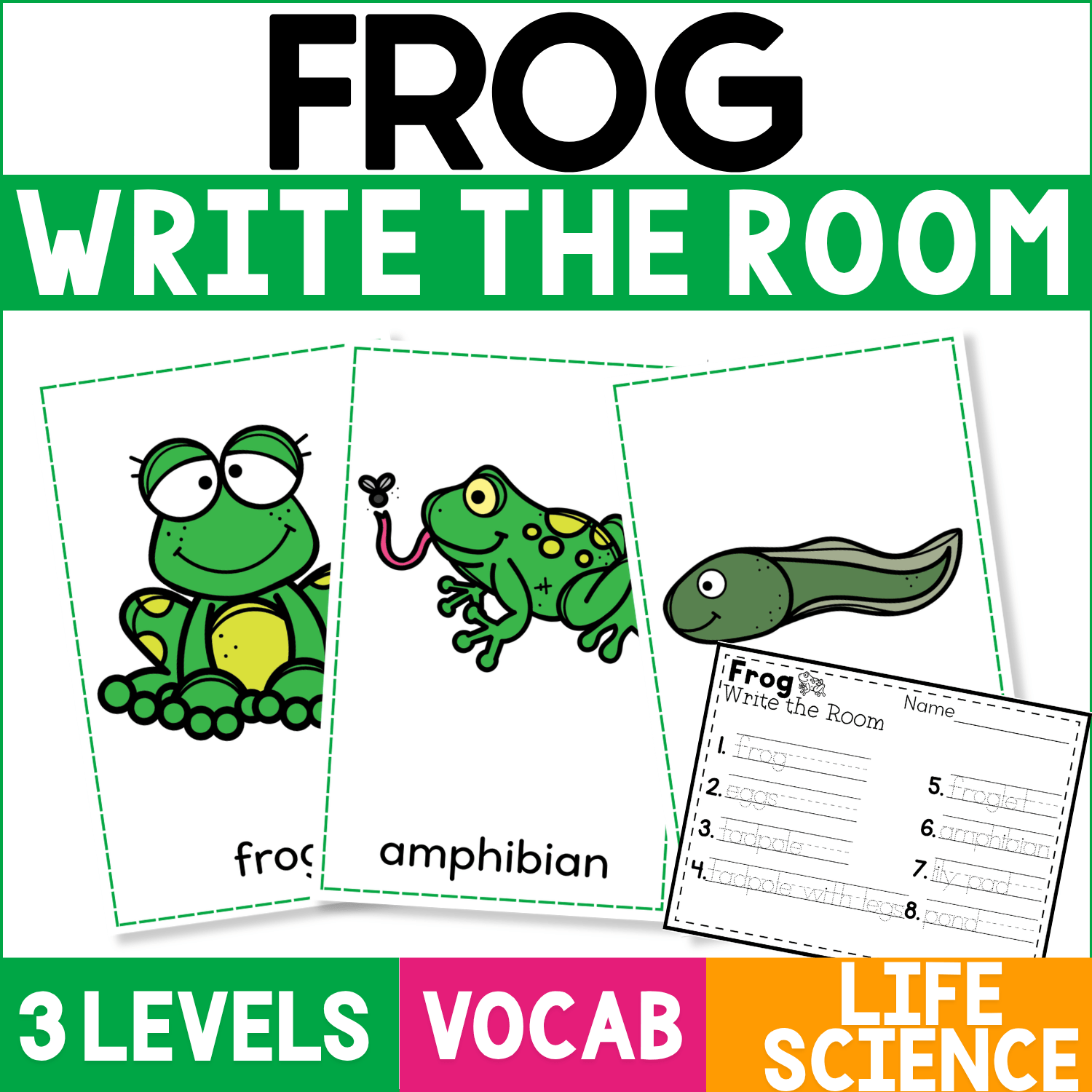Frog Write the Room Vocabulary Center featuring illustrated frog, amphibian, and tadpole vocabulary cards with differentiated recording worksheets for preschool and kindergarten science and literacy practice.
