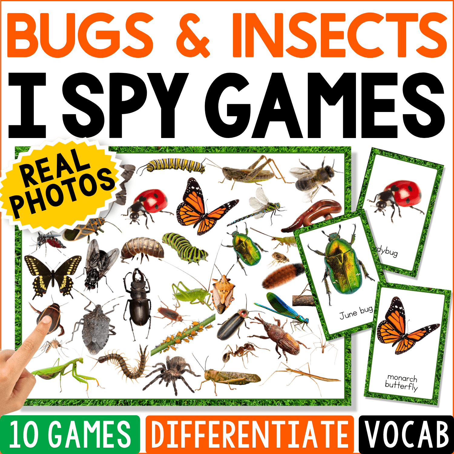 Bugs and Insects I Spy Games cover featuring real photos of butterflies, beetles, ladybugs, flies, and other insects with matching picture cards for science vocabulary and visual discrimination.