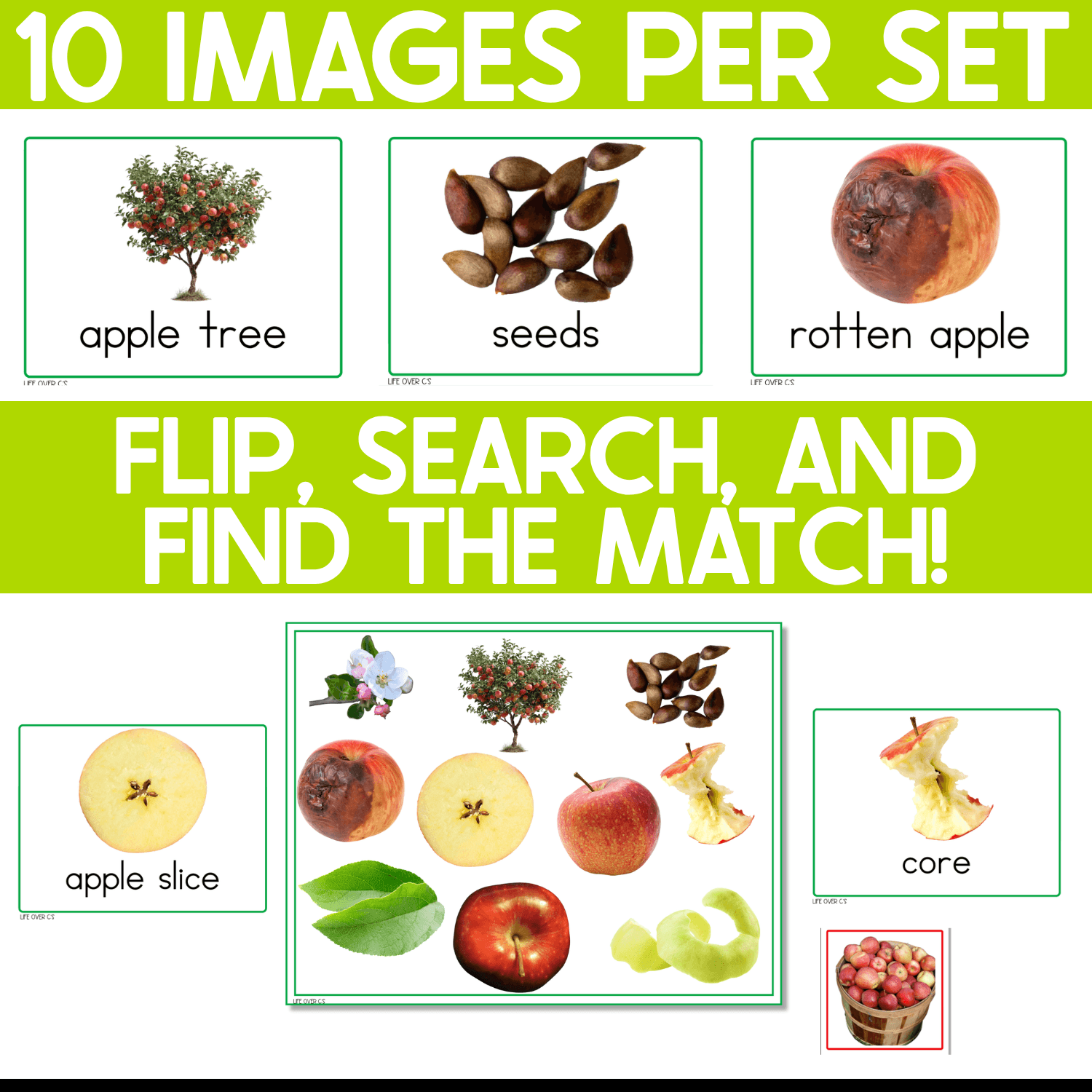 Apples I Spy Junior matching game example featuring real-photo cards for apple tree, seeds, rotten apple, apple slice, and core as children flip a card, search the board, and find the matching apple picture.